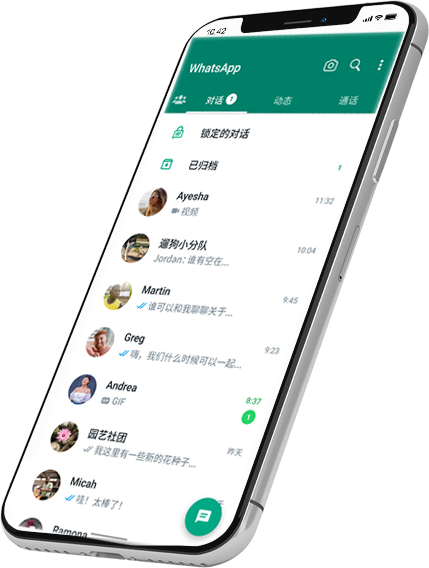 whatsapp business