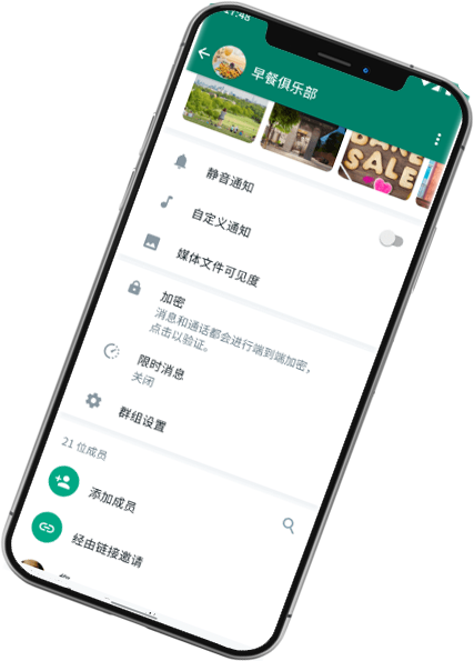 whatsapp business